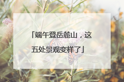 端午登岳麓山，这五处景观变样了
