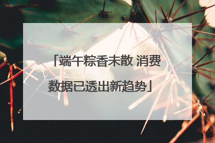 端午粽香未散 消费数据已透出新趋势