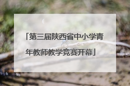 第三届陕西省中小学青年教师教学竞赛开幕