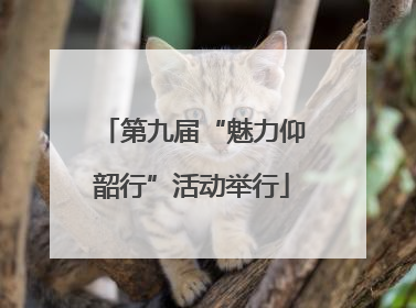第九届“魅力仰韶行”活动举行