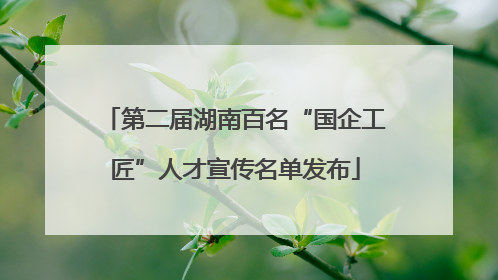 第二届湖南百名“国企工匠”人才宣传名单发布