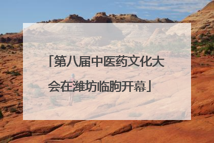 第八届中医药文化大会在潍坊临朐开幕