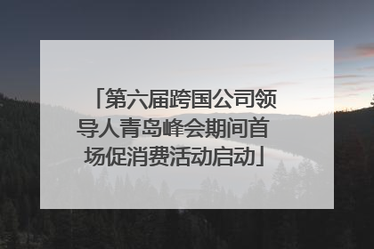 第六届跨国公司领导人青岛峰会期间首场促消费活动启动