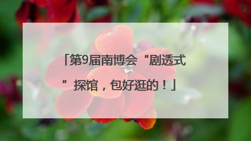 第9届南博会“剧透式”探馆，包好逛的！