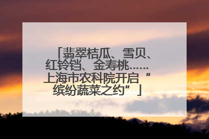翡翠桔瓜、雪贝、红铃铛、金寿桃……上海市农科院开启“缤纷蔬菜之约”