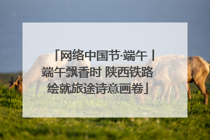 网络中国节·端午丨端午飘香时 陕西铁路绘就旅途诗意画卷