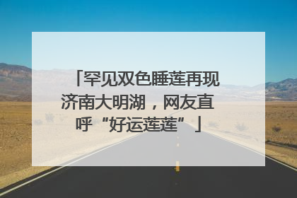 罕见双色睡莲再现济南大明湖，网友直呼“好运莲莲”