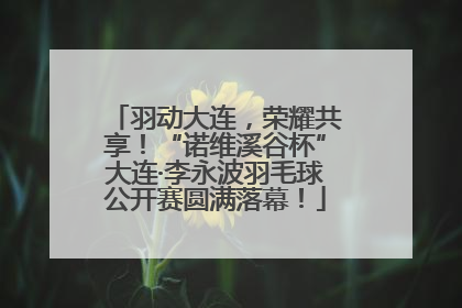羽动大连，荣耀共享！“诺维溪谷杯”大连·李永波羽毛球公开赛圆满落幕！
