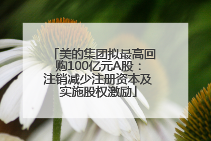 美的集团拟最高回购100亿元A股：注销减少注册资本及实施股权激励
