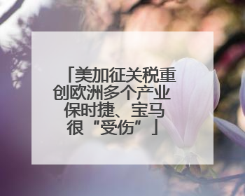 美加征关税重创欧洲多个产业 保时捷、宝马很“受伤”