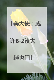 美大使：或许B-2该去趟也门