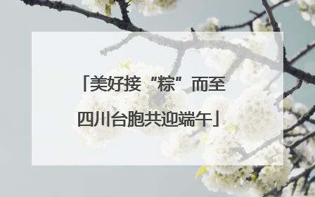 美好接“粽”而至 四川台胞共迎端午