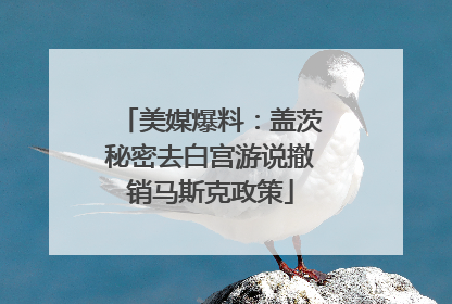 美媒爆料：盖茨秘密去白宫游说撤销马斯克政策