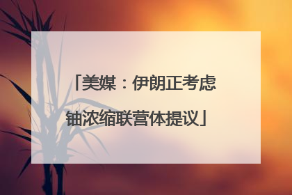 美媒：伊朗正考虑铀浓缩联营体提议