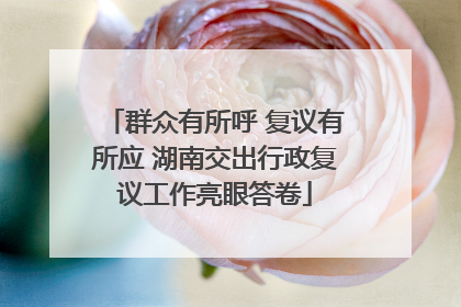 群众有所呼 复议有所应 湖南交出行政复议工作亮眼答卷