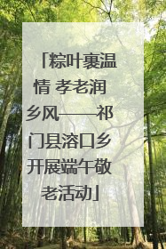粽叶裹温情 孝老润乡风——祁门县溶口乡开展端午敬老活动