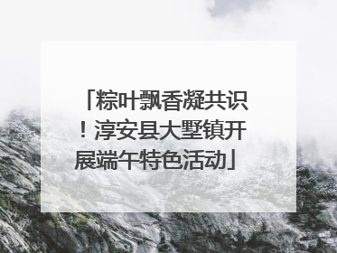 粽叶飘香凝共识！淳安县大墅镇开展端午特色活动