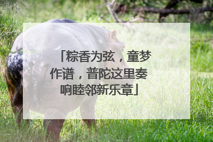 粽香为弦，童梦作谱，普陀这里奏响睦邻新乐章