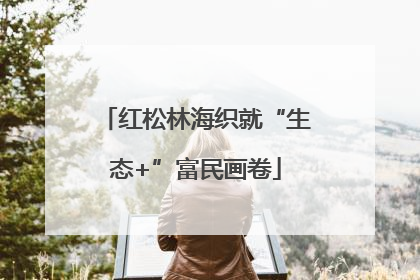 红松林海织就“生态+”富民画卷