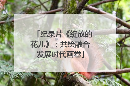 纪录片《绽放的花儿》：共绘融合发展时代画卷