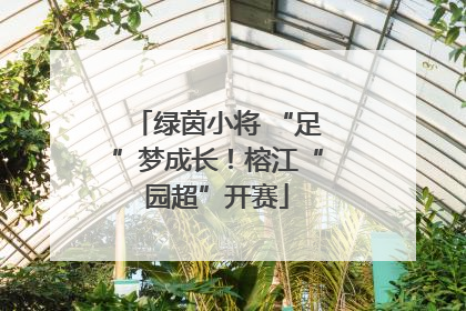 绿茵小将 “足”梦成长！榕江“园超”开赛