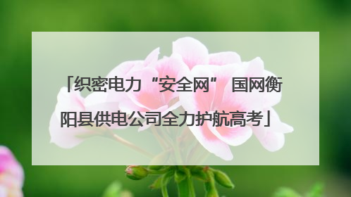 织密电力“安全网” 国网衡阳县供电公司全力护航高考