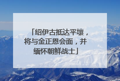 绍伊古抵达平壤，将与金正恩会面，并缅怀朝鲜战士