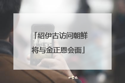 绍伊古访问朝鲜 将与金正恩会面