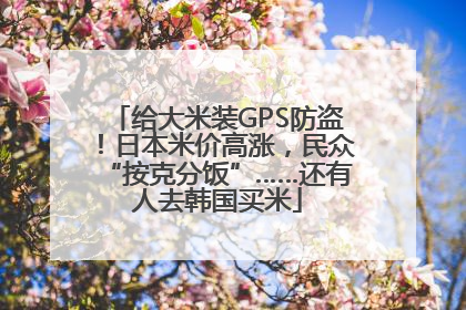给大米装GPS防盗！日本米价高涨，民众“按克分饭”……还有人去韩国买米