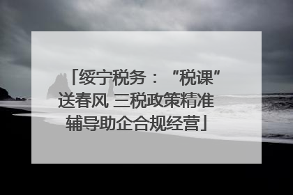 绥宁税务：“税课”送春风 三税政策精准辅导助企合规经营