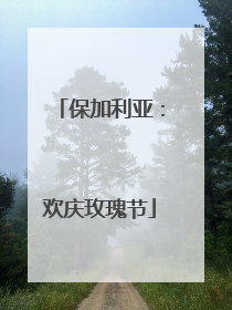保加利亚：欢庆玫瑰节