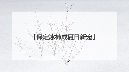 保定冰柿成夏日新宠