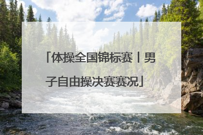 体操全国锦标赛丨男子自由操决赛赛况