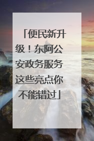 便民新升级！东阿公安政务服务这些亮点你不能错过