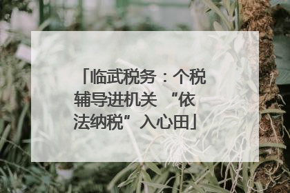 临武税务：个税辅导进机关 “依法纳税”入心田
