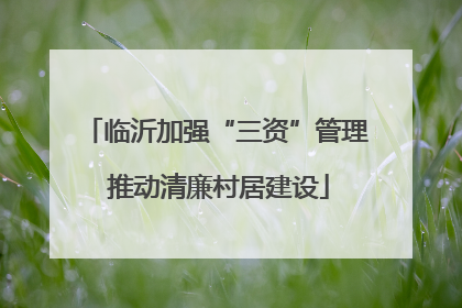 临沂加强“三资”管理 推动清廉村居建设