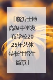 临沂士博高级中学发布学校2025年艺体特长生招生简章