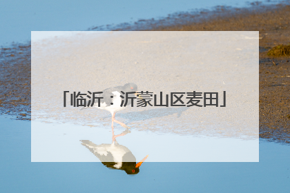 临沂：沂蒙山区麦田
