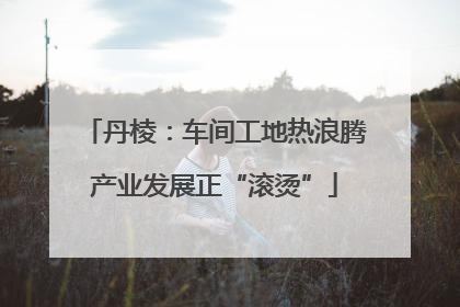 丹棱：车间工地热浪腾产业发展正“滚烫”