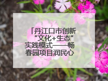丹江口市创新“文化+生态”实践模式——畅春园项目润民心护碧水显成效