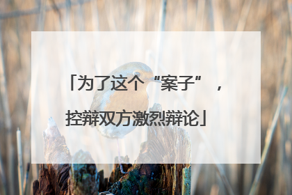 为了这个“案子”，控辩双方激烈辩论