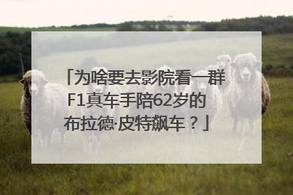 为啥要去影院看一群F1真车手陪62岁的布拉德·皮特飙车？