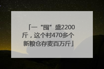 一“囤”盛2200斤，这个村470多个新粮仓存麦百万斤