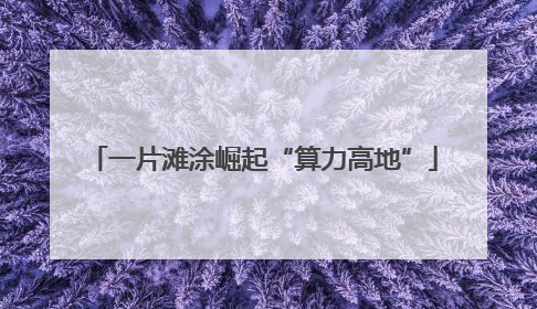 一片滩涂崛起“算力高地”