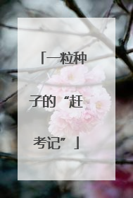一粒种子的“赶考记”