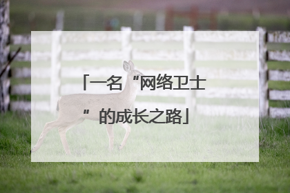 一名“网络卫士”的成长之路