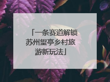 一条赛道解锁苏州望亭乡村旅游新玩法
