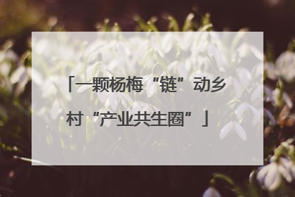 一颗杨梅“链”动乡村“产业共生圈”
