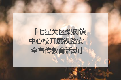 七星关区梨树镇中心校开展铁路安全宣传教育活动