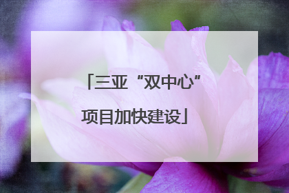 三亚“双中心”项目加快建设